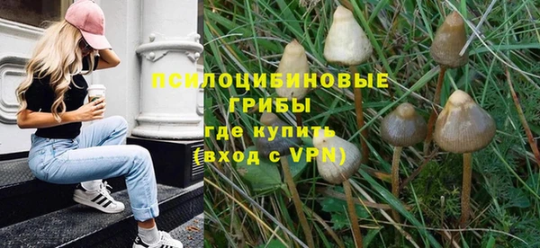 соль курить ск Дмитров