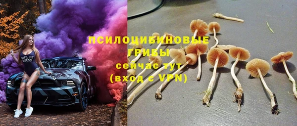 соль курить ск Дмитров