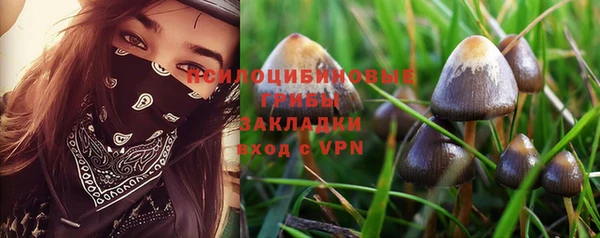соль курить ск Дмитров