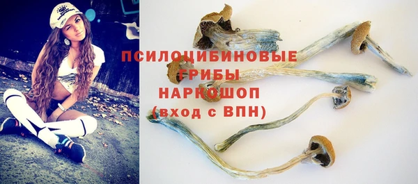 Альфа ПВП Дмитровск